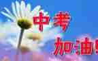 话中考作文精选5篇