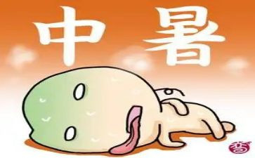 高中暑假社会实践报告300精选5篇