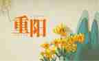 重阳节敬老院活动总结6篇