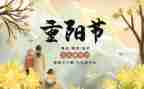 关于重阳活动总结5篇