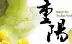 迎重阳活动总结8篇