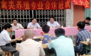 专合社调研报告范文7篇