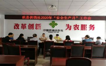 专合社调研报告范文参考5篇