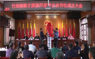 专合社调研报告范文最新7篇