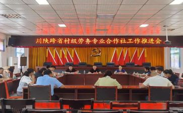 专合社调研报告8篇