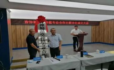 专合社调研报告模板精选6篇