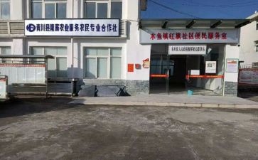 农民专合社调研报告6篇