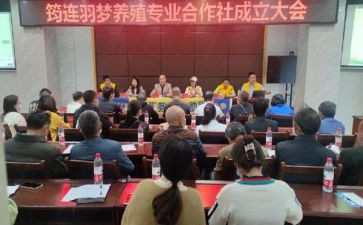 专合社调研报告范文优质8篇