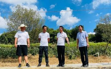 2023年驻村干部述职报告5篇