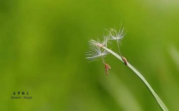追梦演讲稿范文优秀8篇