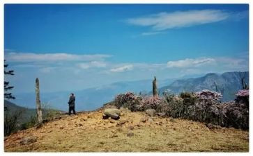 做自己的主角的作文6篇