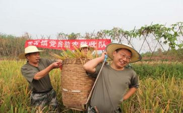 助农心得体会8篇