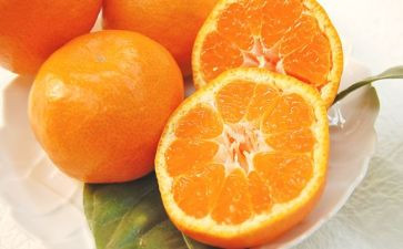 橘子船教案参考5篇