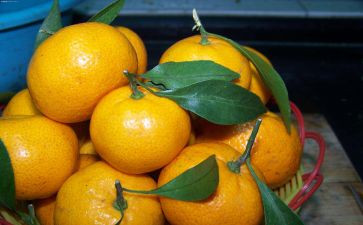 小班橘子教案8篇