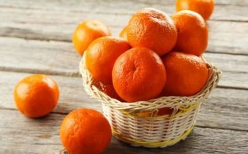 橘子的沉与浮教案8篇