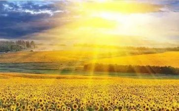 我为她感到自豪作文7篇