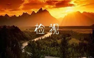 生产自检自查报告范文6篇
