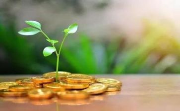 资金管理情况自查报告8篇