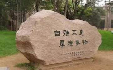 论科技自立自强心得体会8篇