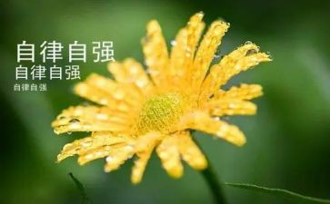当自强演讲稿参考6篇