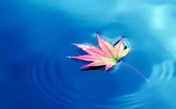 小学自然教案6篇