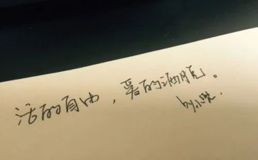 《自由》的读后感6篇