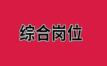 综合岗试用期工作总结5篇