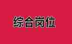 综合岗试用期工作总结5篇