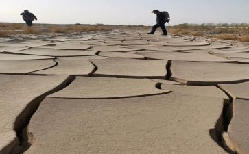 我走过作文500字参考7篇