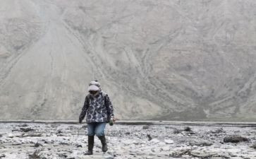 我走过这作文500字7篇