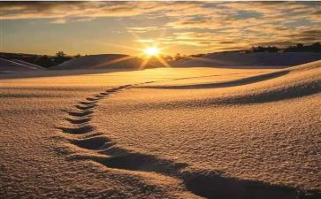 我从_走过作文6篇