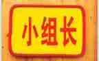 小学语文组长述职报告范文7篇