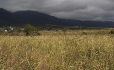 拟租赁合同范文7篇