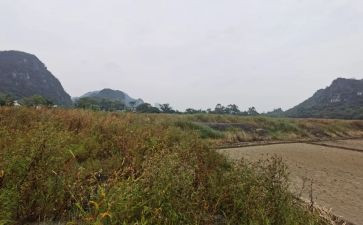租赁合同房屋模板最新7篇