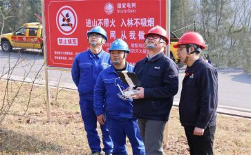组织线工作报告8篇